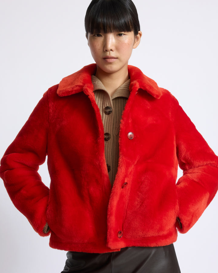 Veste courte en peau lainée d'agneau mérinos - Yves Salomon - Nouvelle collection Automne Hiver