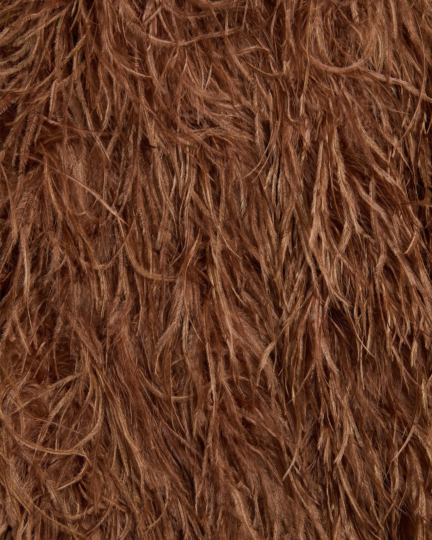 Veste courte en plumes d'autruche -Yves salomon - Nouvelle collection Printemps Été